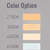 Color Option NEON LED